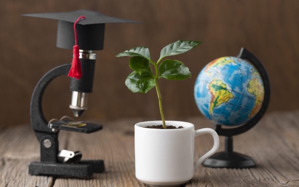 arrangement-with-microscope-plant arrangement-with-microscope-plant